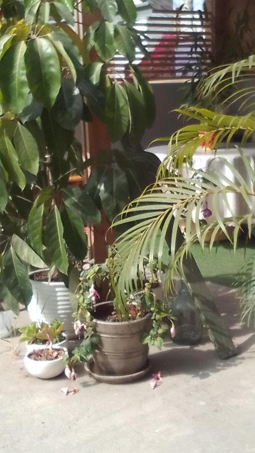 La Belle Vue Hotel Lima Kültér fotó